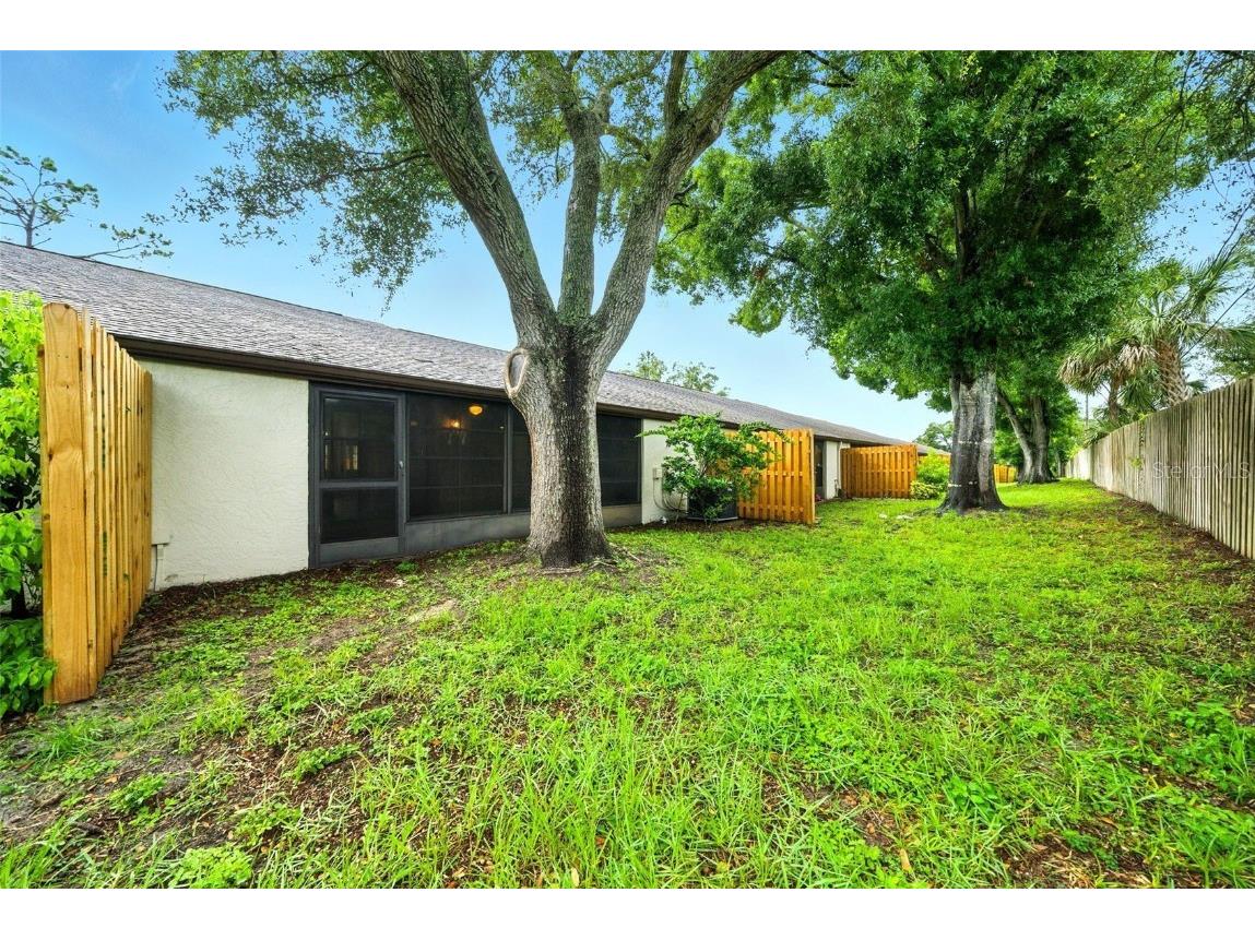 1725 Pine Ridge Way E #E Palm Harbor FL 34684 TB8458482 image31