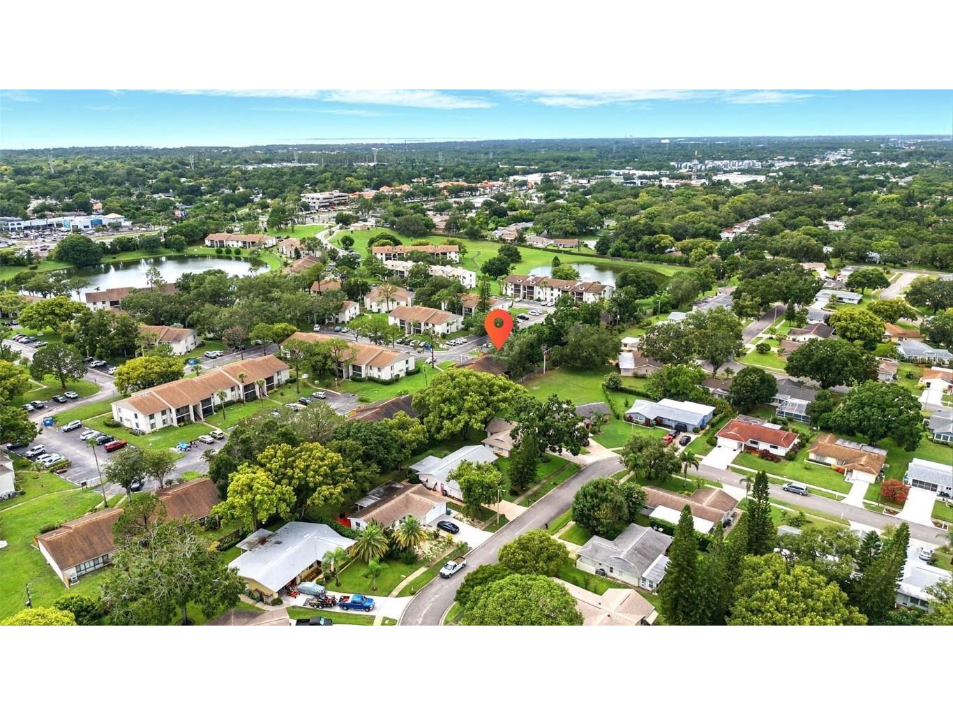 1725 Pine Ridge Way E #E Palm Harbor FL 34684 TB8458482 image33