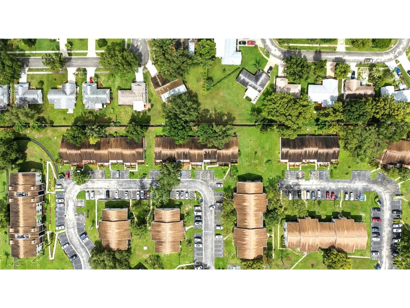 1725 Pine Ridge Way E #E Palm Harbor FL 34684 TB8458482 image35