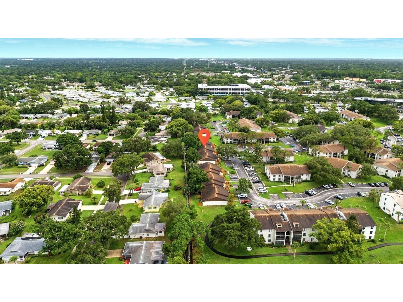 1725 Pine Ridge Way E #E Palm Harbor FL 34684 TB8458482 image37