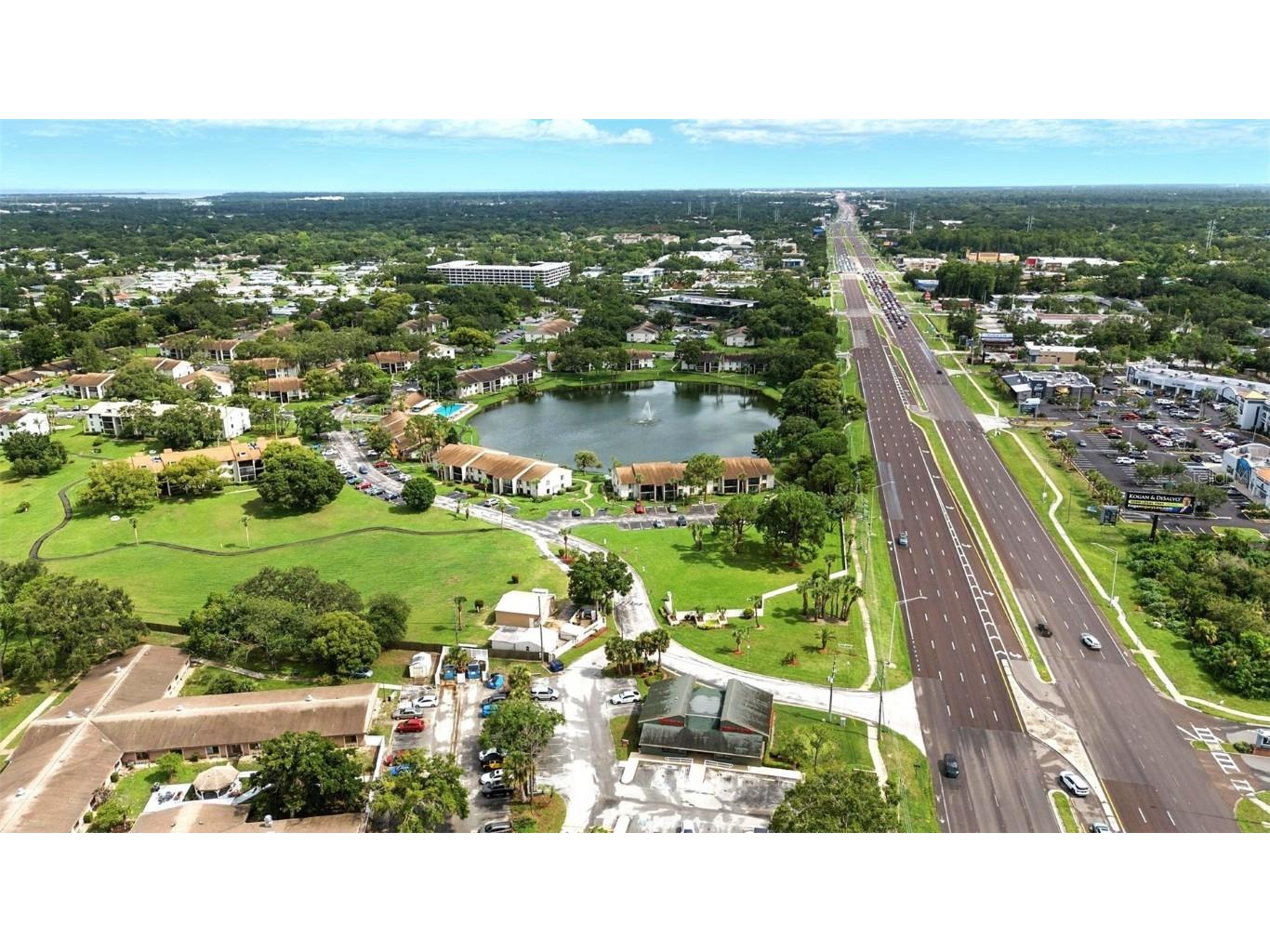 1725 Pine Ridge Way E #E Palm Harbor FL 34684 TB8458482 image38