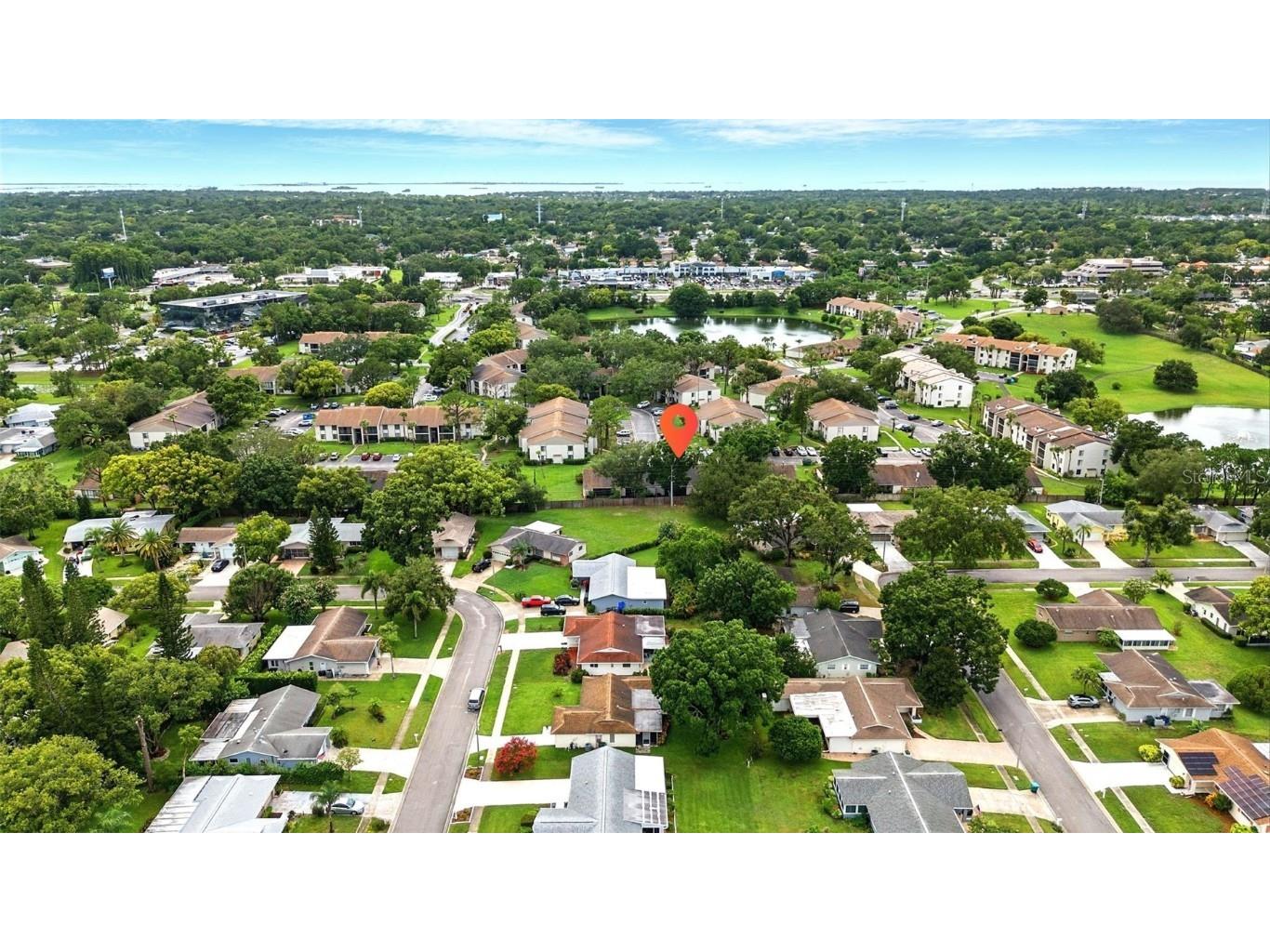 1725 Pine Ridge Way E #E Palm Harbor FL 34684 TB8458482 image41