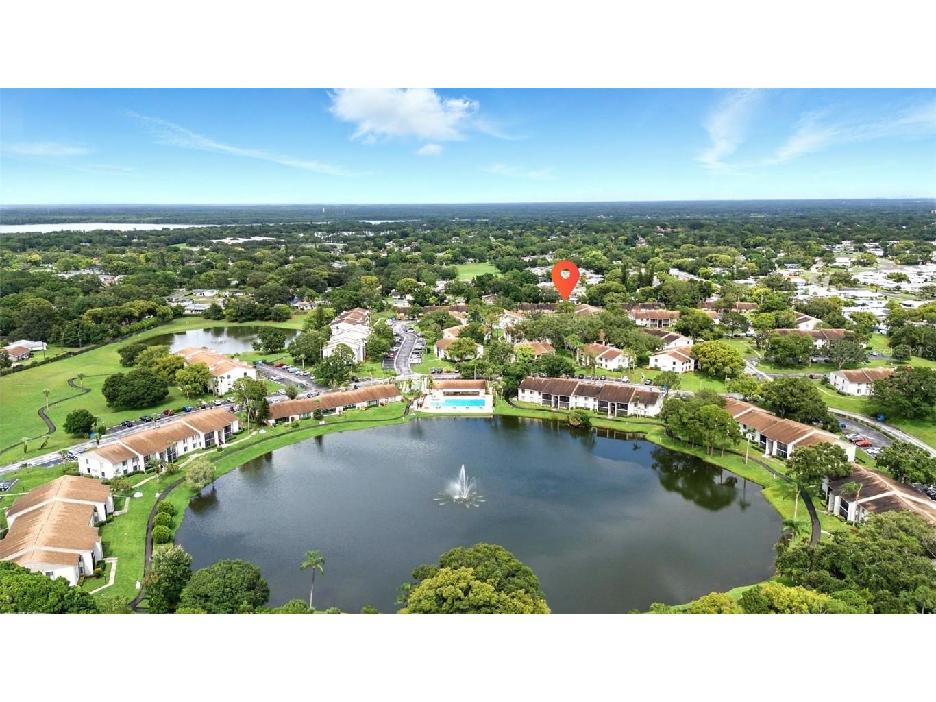 1725 Pine Ridge Way E #E Palm Harbor FL 34684 TB8458482 image42