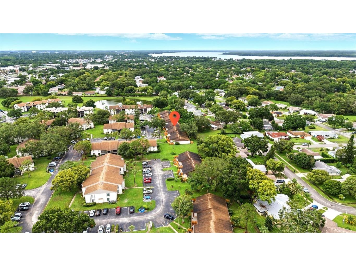 1725 Pine Ridge Way E #E Palm Harbor FL 34684 TB8458482 image43