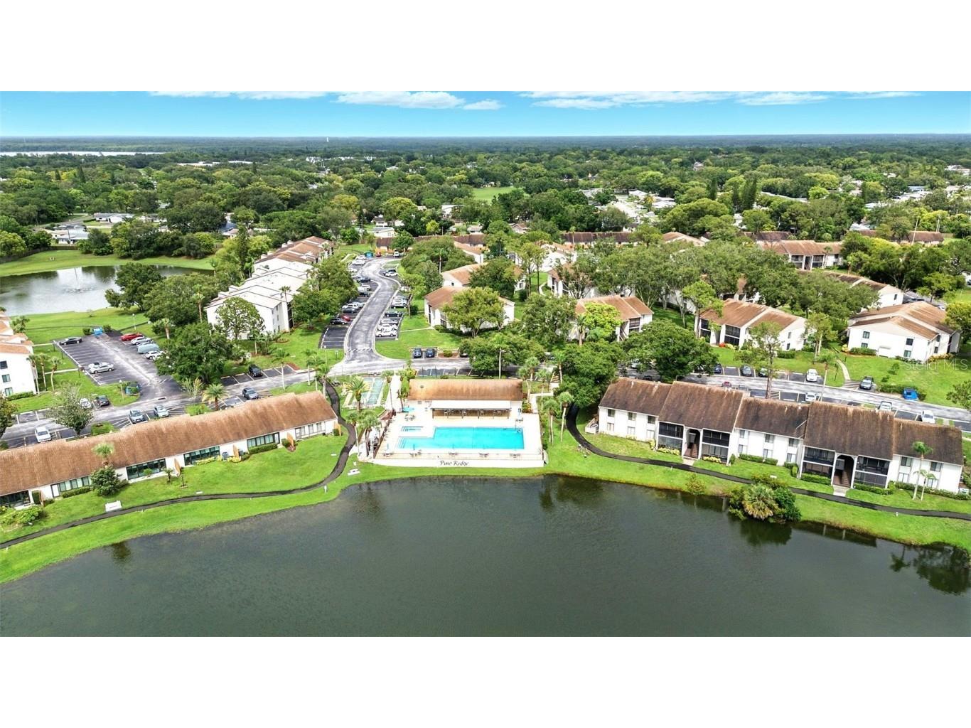 1725 Pine Ridge Way E #E Palm Harbor FL 34684 TB8458482 image44