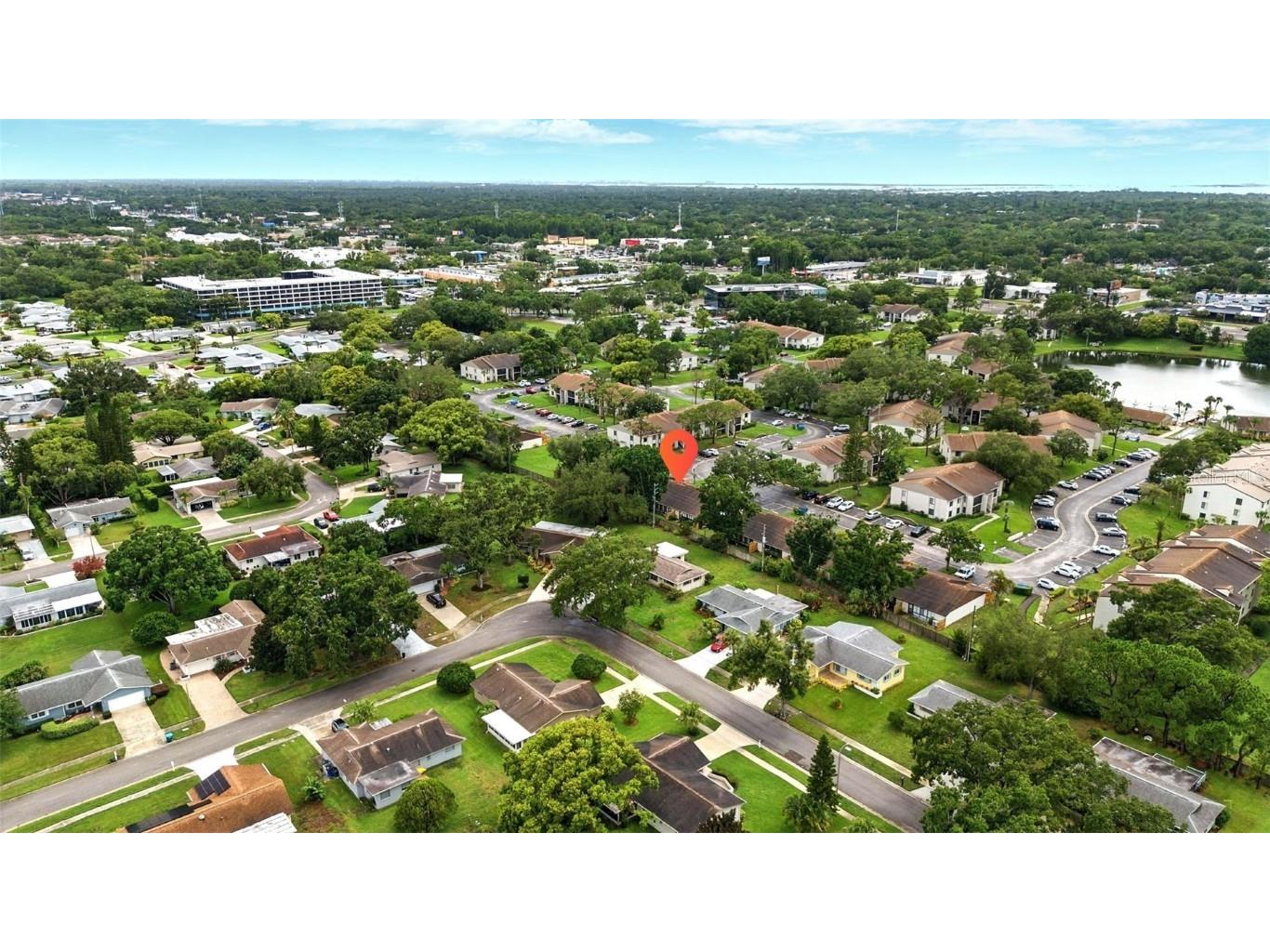 1725 Pine Ridge Way E #E Palm Harbor FL 34684 TB8458482 image45