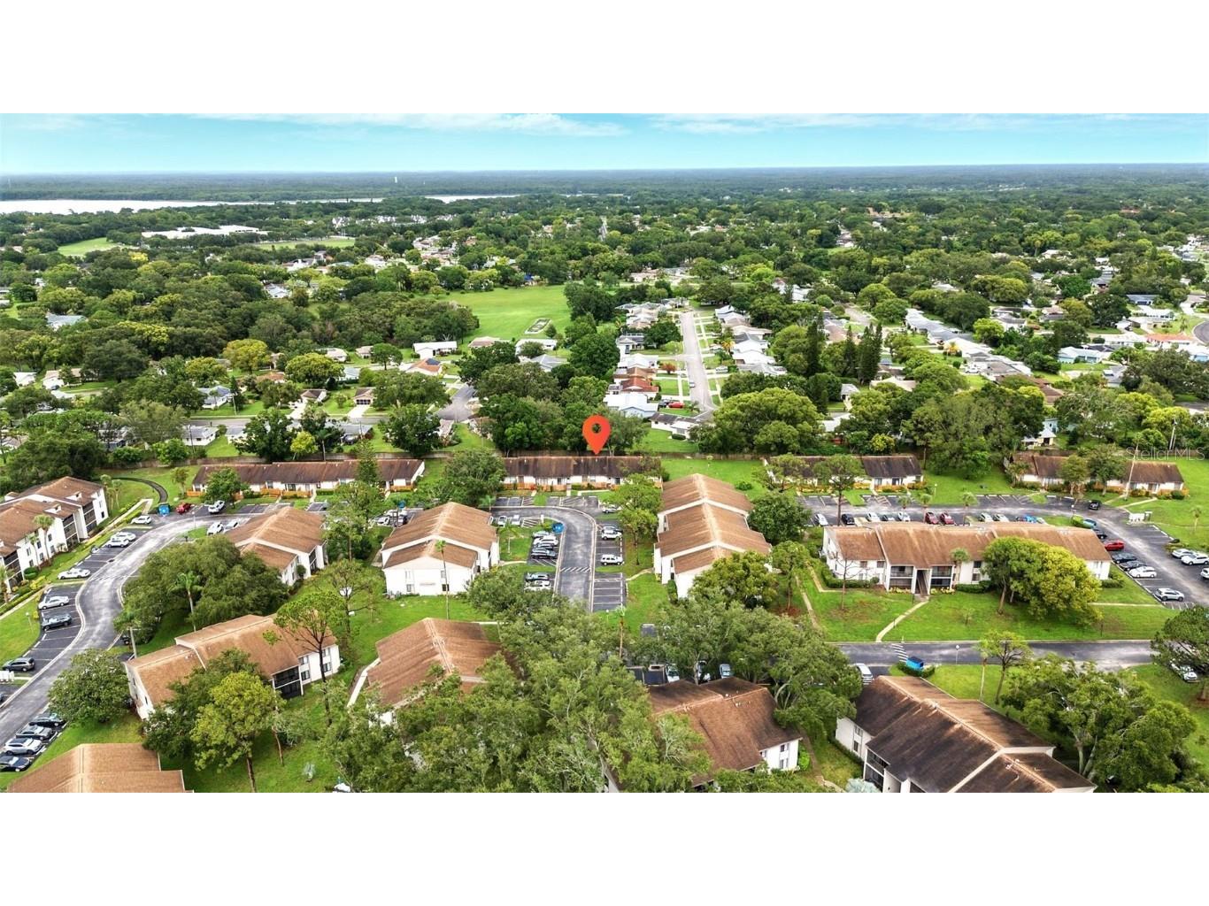 1725 Pine Ridge Way E #E Palm Harbor FL 34684 TB8458482 image47