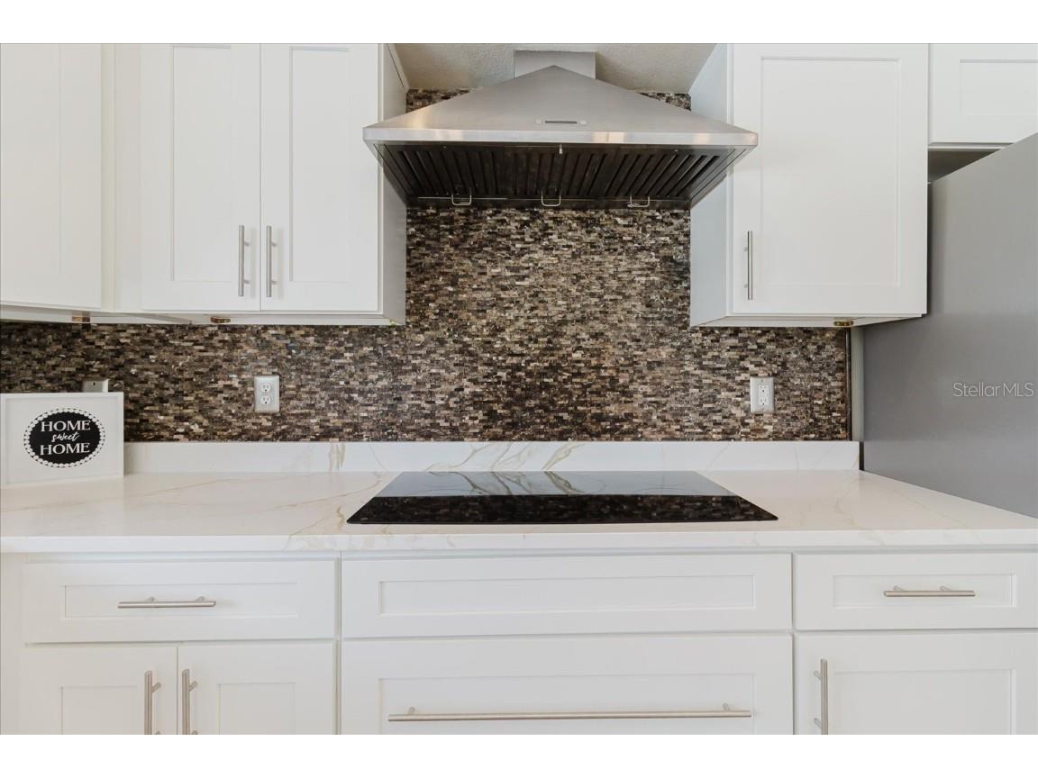 1725 Pink Guara Court Trinity FL 34655 TB8423033 image37