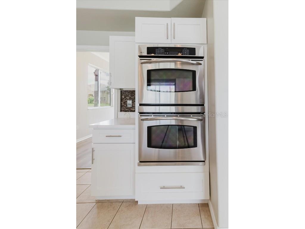 1725 Pink Guara Court Trinity FL 34655 TB8423033 image41