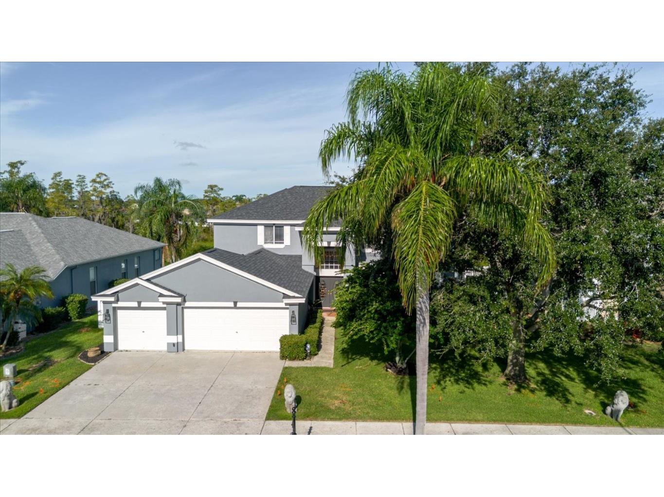 1725 Pink Guara Court Trinity FL 34655 TB8423033 image5