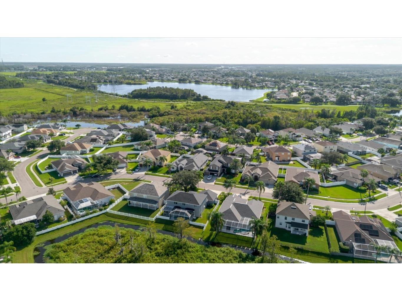 1725 Pink Guara Court Trinity FL 34655 TB8423033 image94