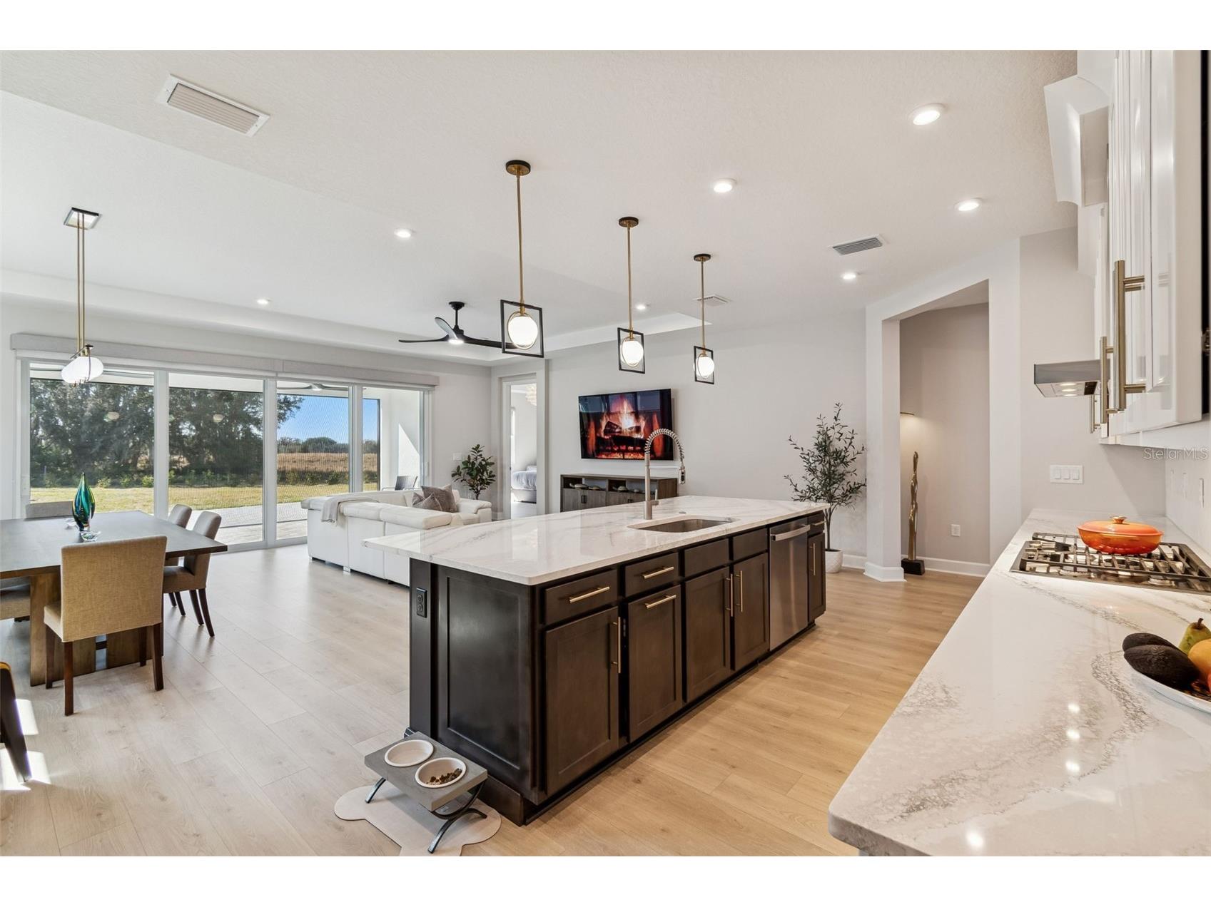 1725 Point Grace Road Tavares FL 32778 O6379962 image19