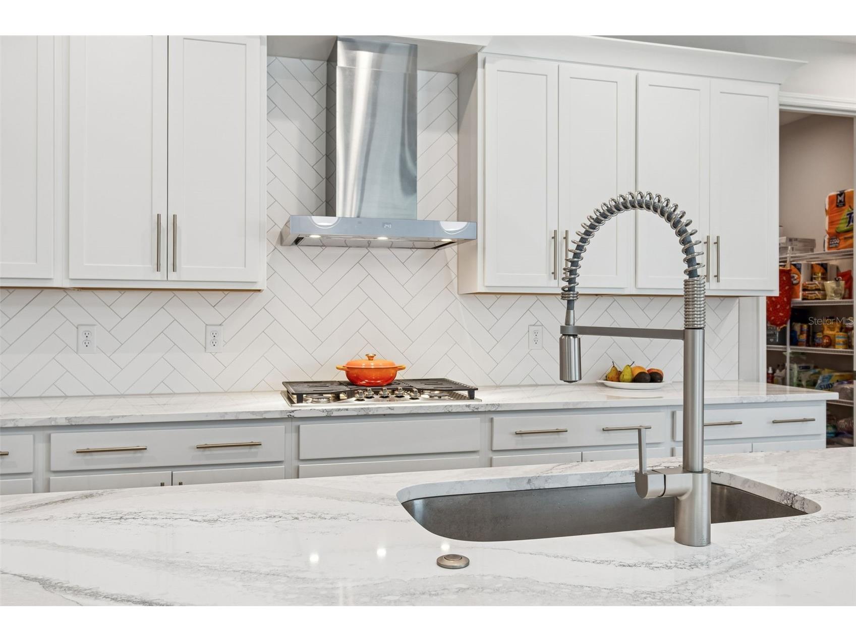 1725 Point Grace Road Tavares FL 32778 O6379962 image24