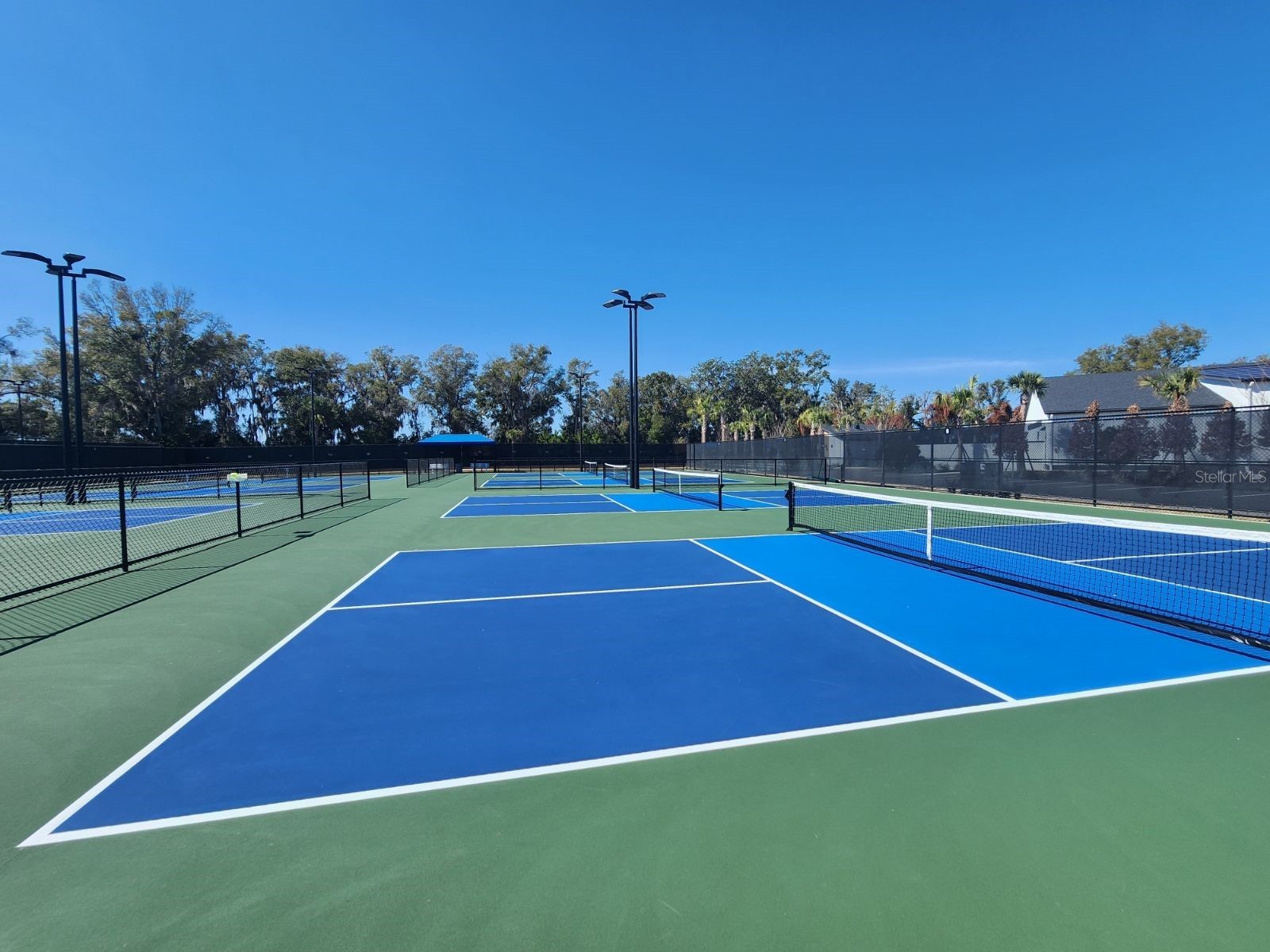 1725 Point Grace Road Tavares FL 32778 O6379962 image58