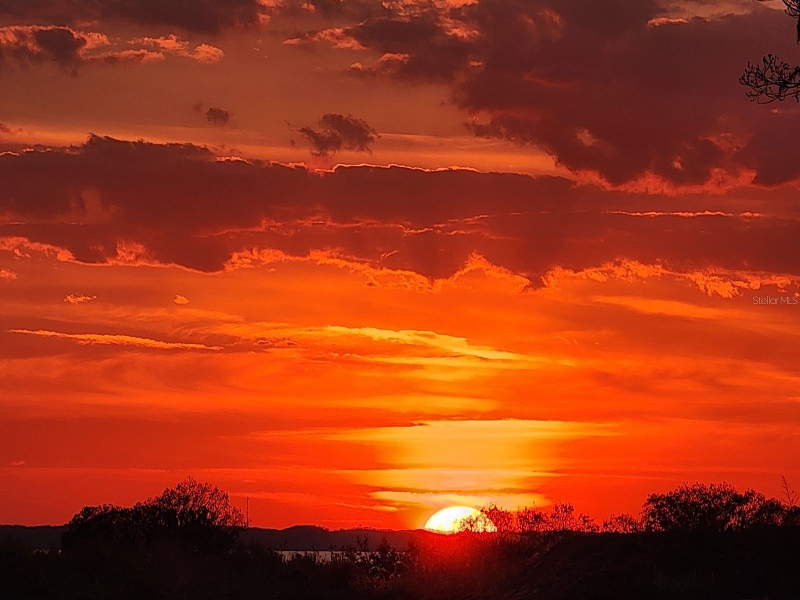 1725 Point Grace Road Tavares FL 32778 O6379962 image61