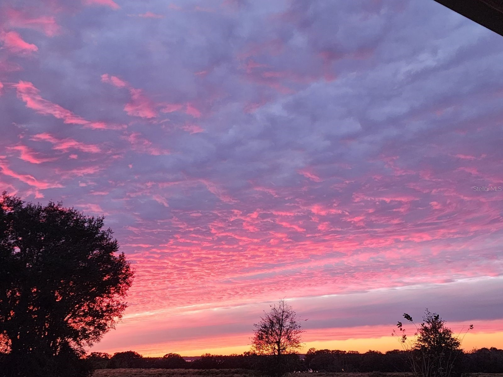 1725 Point Grace Road Tavares FL 32778 O6379962 image64