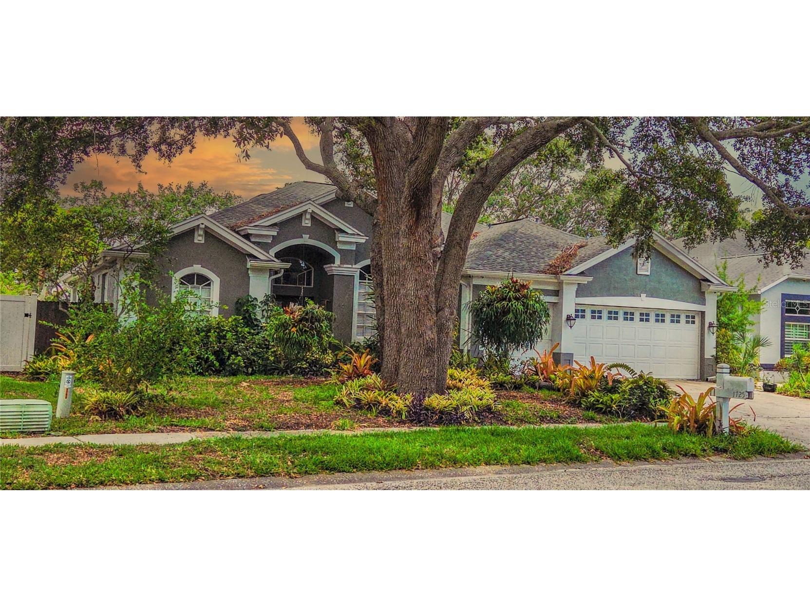 1725 River Watch Boulevard Tarpon Springs FL 34689 - ANCLOTE RIVER TB8429524 image1