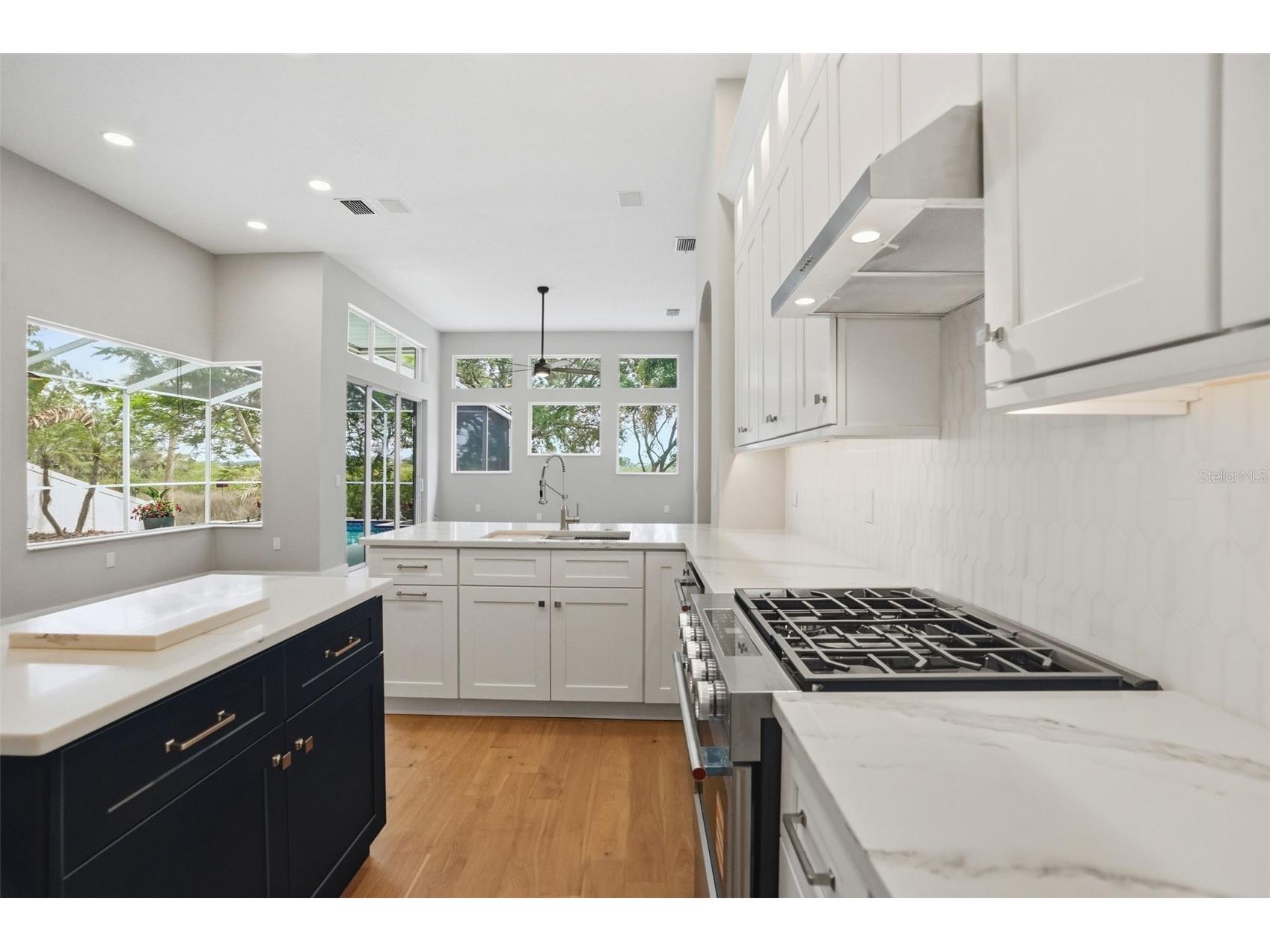 1725 River Watch Boulevard Tarpon Springs FL 34689 - ANCLOTE RIVER TB8500619 image19