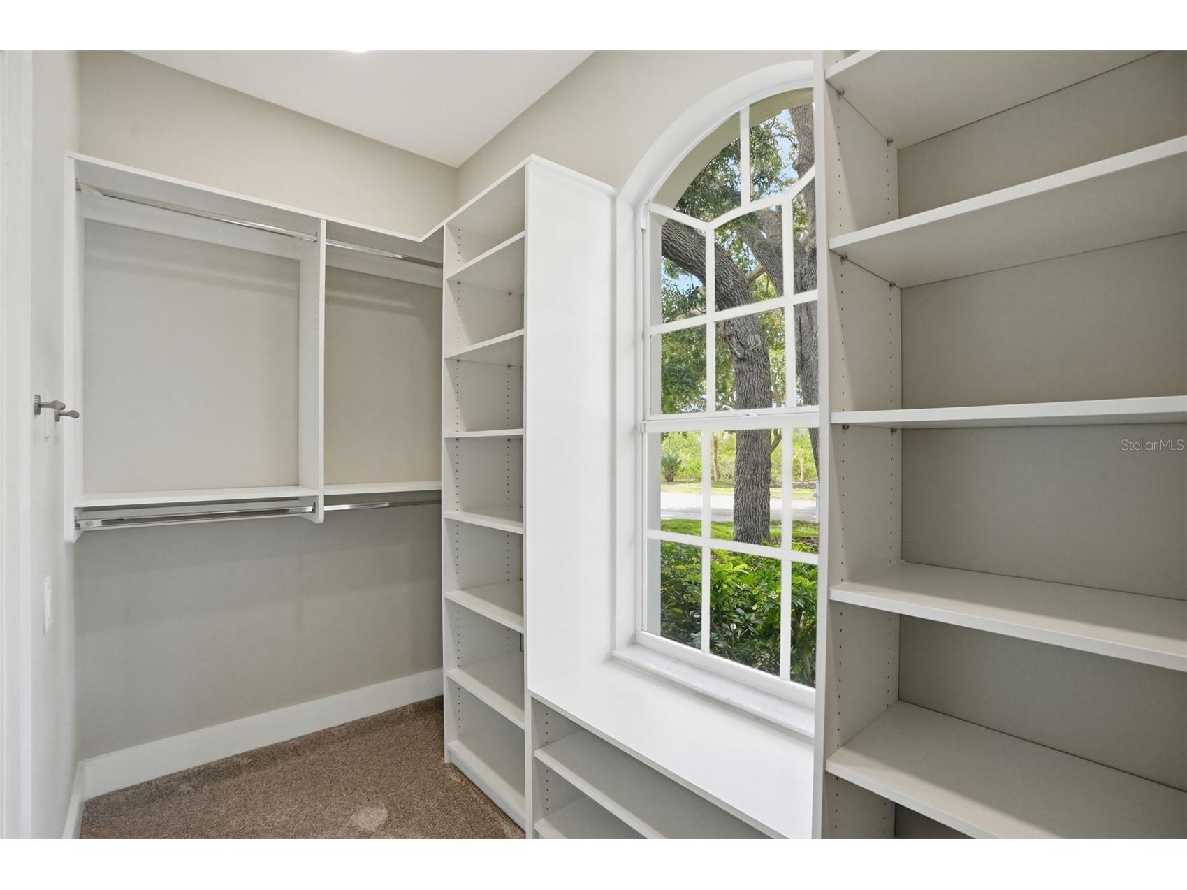 1725 River Watch Boulevard Tarpon Springs FL 34689 - ANCLOTE RIVER TB8500619 image42