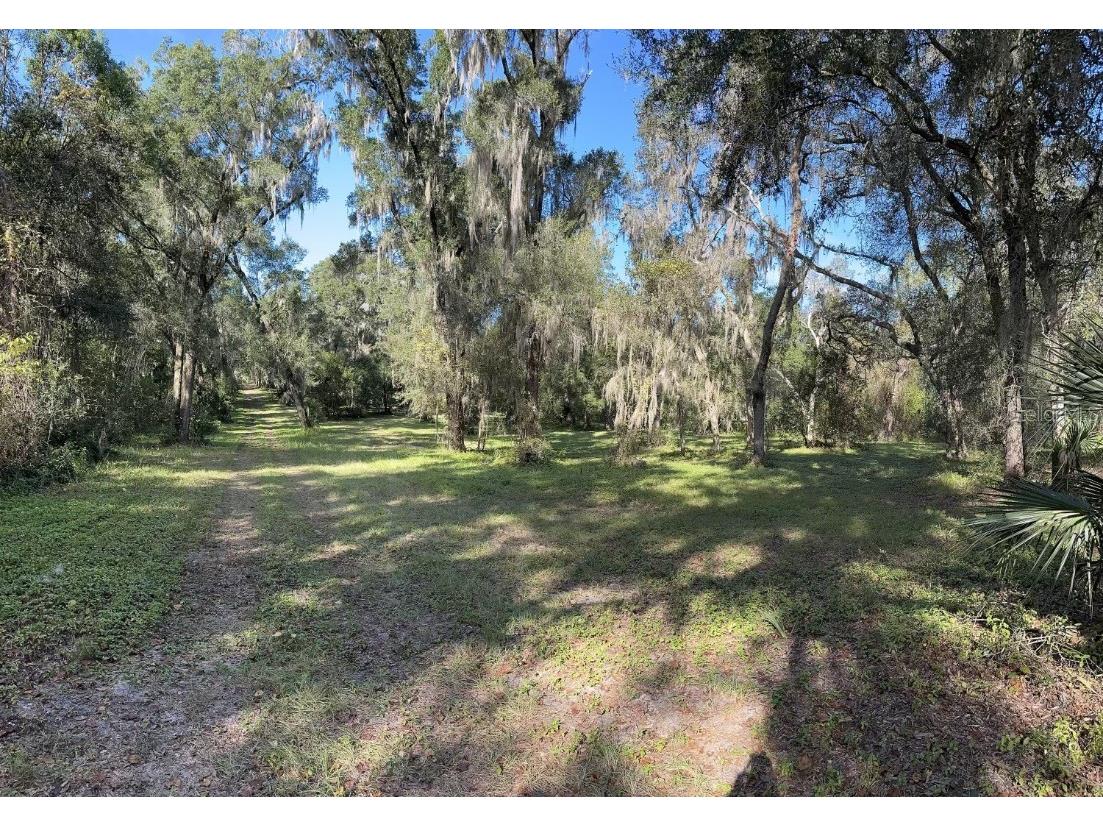 1725 Weaver Oak Way Deland FL 32720 V4933253 image1