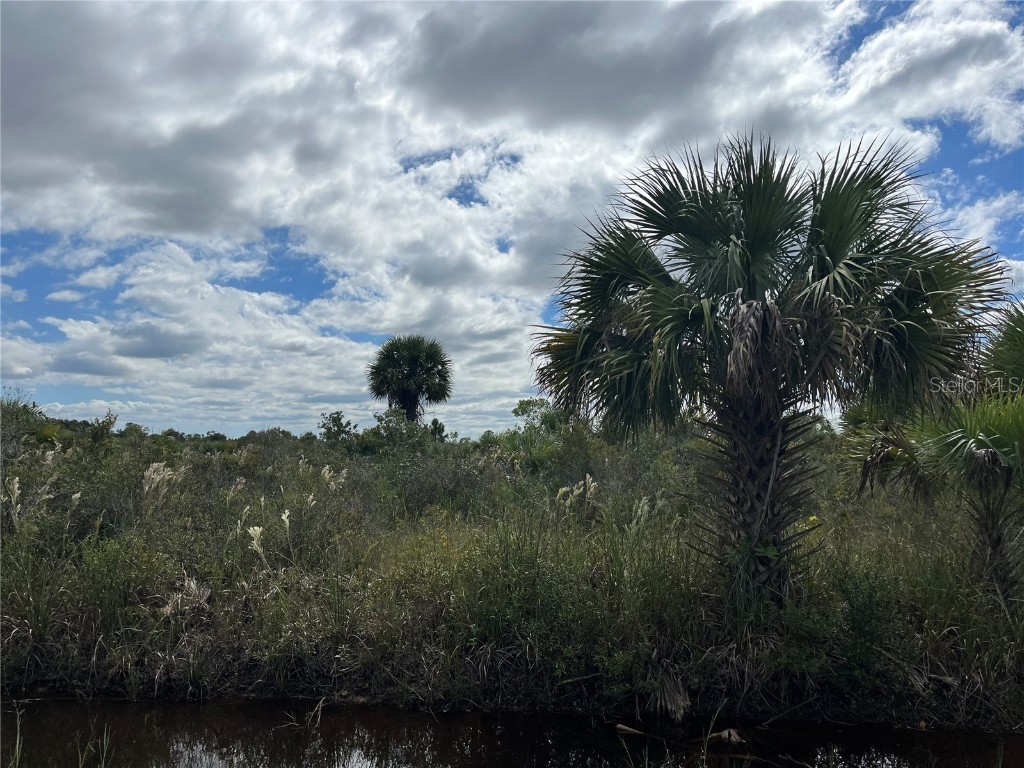 17250 NW 306th Street Okeechobee FL 34972 OK223329 image1