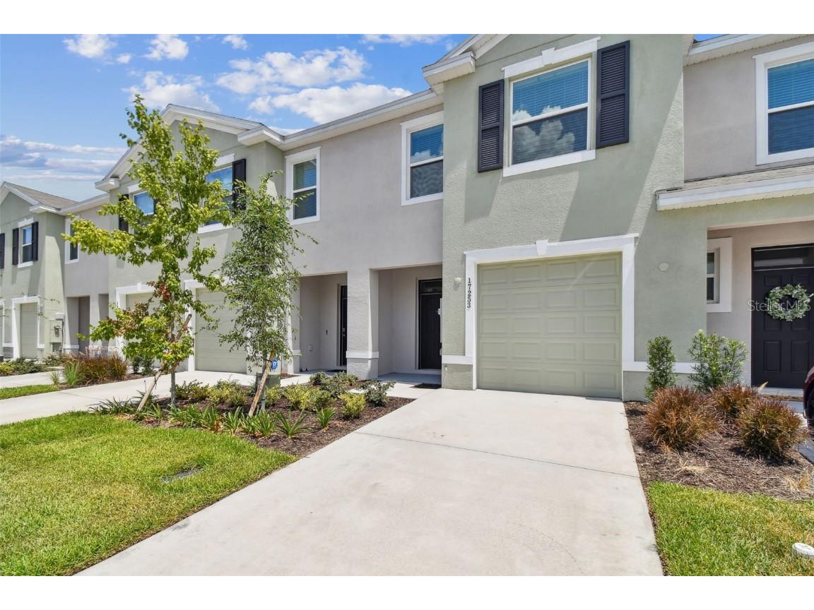 17253 Amber Aspen Way Land O Lakes FL 34638 W7865414 image1