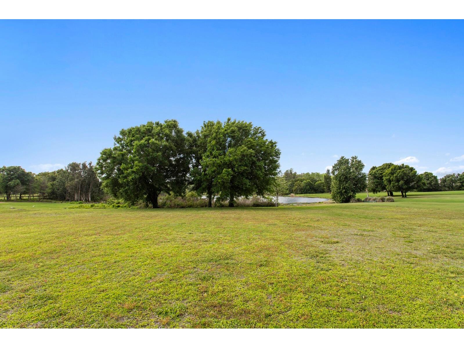 17253 Breeders Cup Drive Odessa FL 33556 - VELBURTON LAKE TB8477302 image3