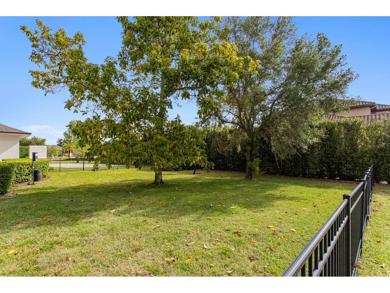 17253 Breeders Cup Drive Odessa FL 33556 - VELBURTON LAKE TB8477302 image5