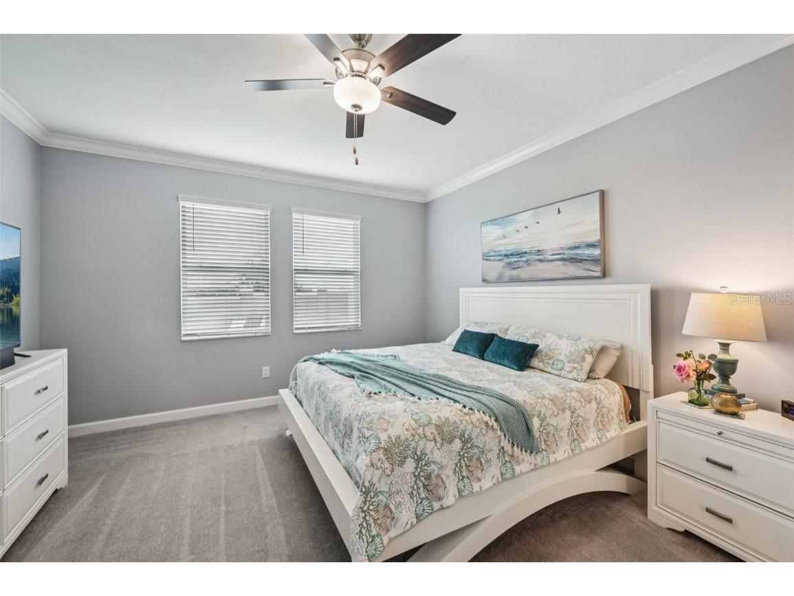 17253 Star Banks Street Wimauma FL 33598 TB8409852 image14