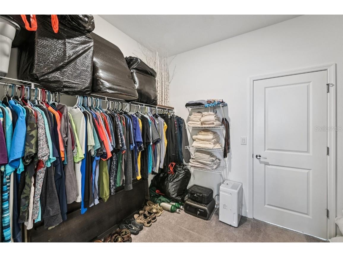 17253 Star Banks Street Wimauma FL 33598 TB8409852 image20