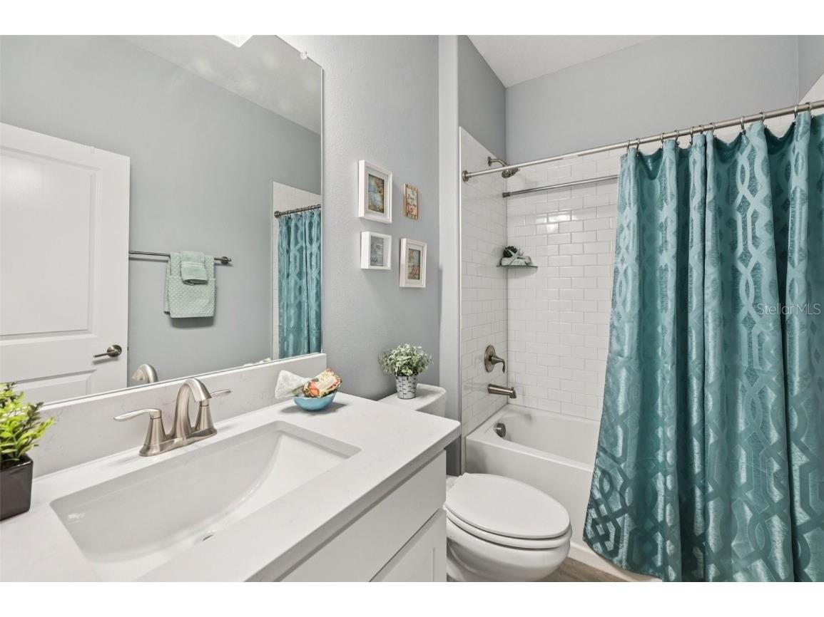 17253 Star Banks Street Wimauma FL 33598 TB8409852 image24