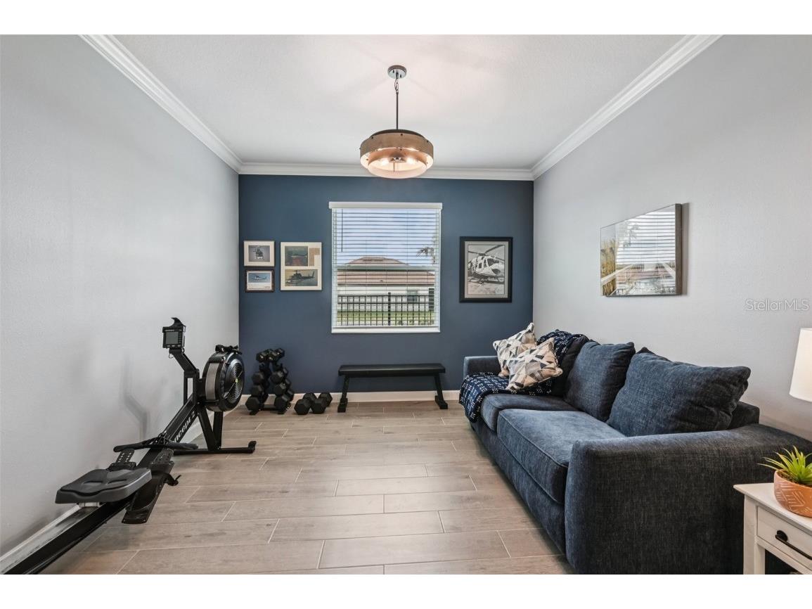 17253 Star Banks Street Wimauma FL 33598 TB8409852 image25