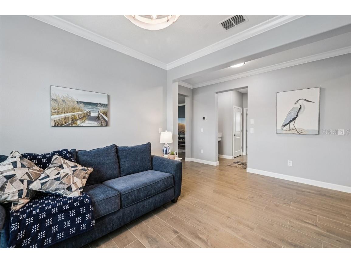 17253 Star Banks Street Wimauma FL 33598 TB8409852 image26