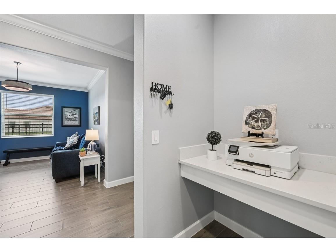 17253 Star Banks Street Wimauma FL 33598 TB8409852 image27