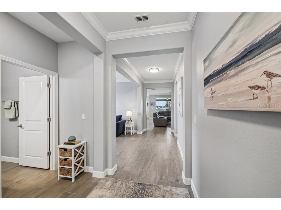 17253 Star Banks Street Wimauma FL 33598 TB8409852 image3