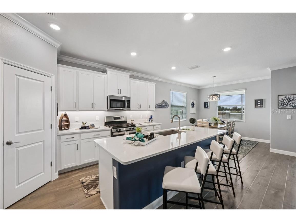 17253 Star Banks Street Wimauma FL 33598 TB8409852 image5