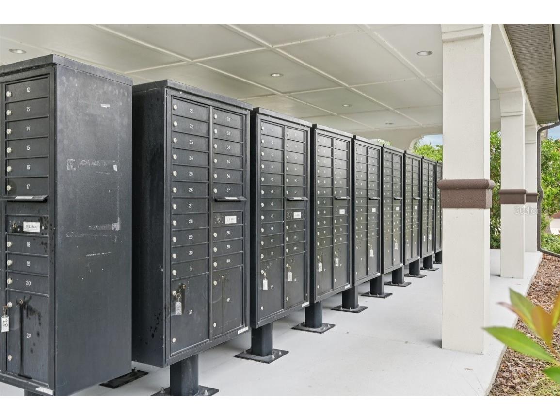 17253 Star Banks Street Wimauma FL 33598 TB8409852 image56