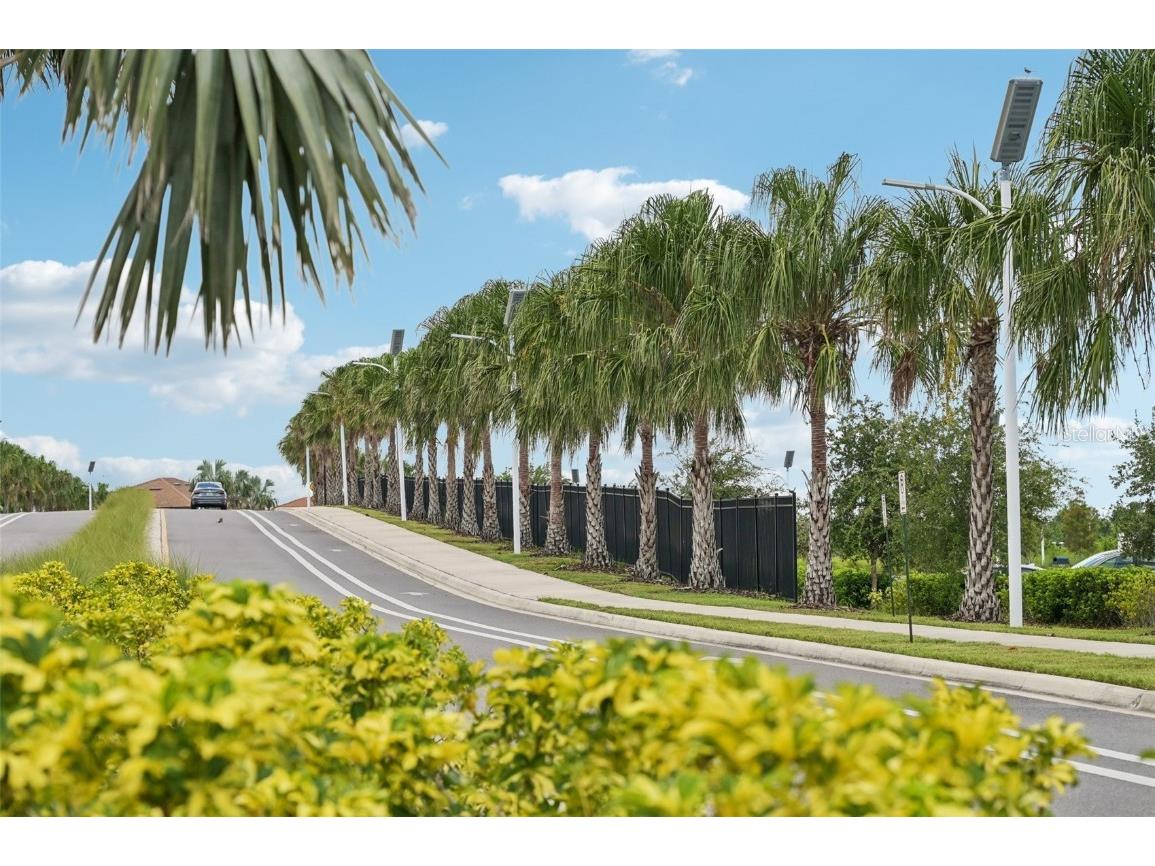 17253 Star Banks Street Wimauma FL 33598 TB8409852 image71