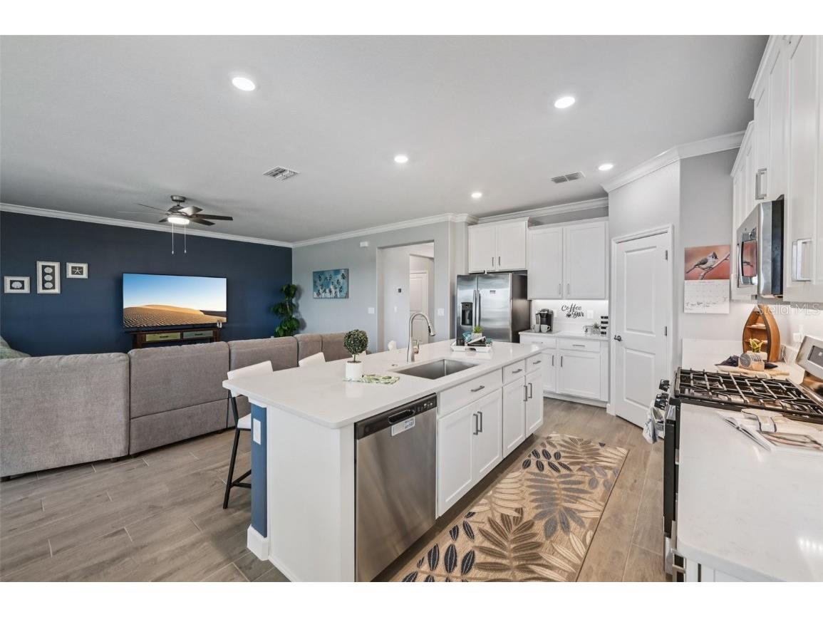 17253 Star Banks Street Wimauma FL 33598 TB8409852 image8