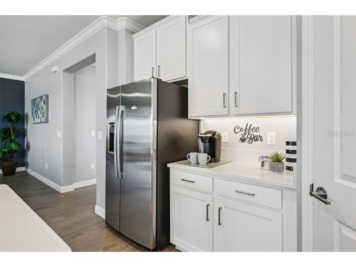 17253 Star Banks Street Wimauma FL 33598 TB8409852 image9