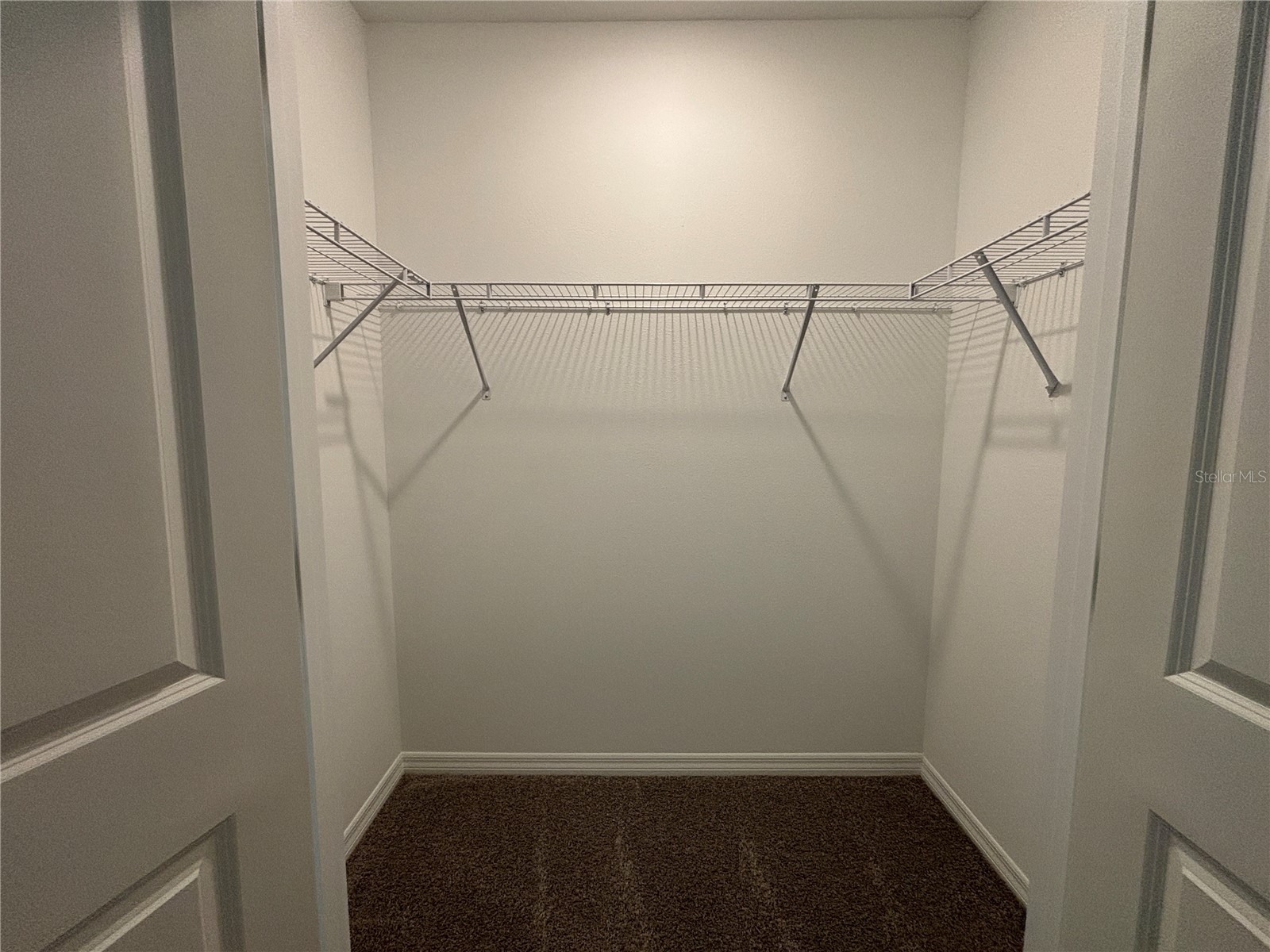 17254 Ashe Juniper Lane Land O Lakes FL 34638 TB8474237 image40