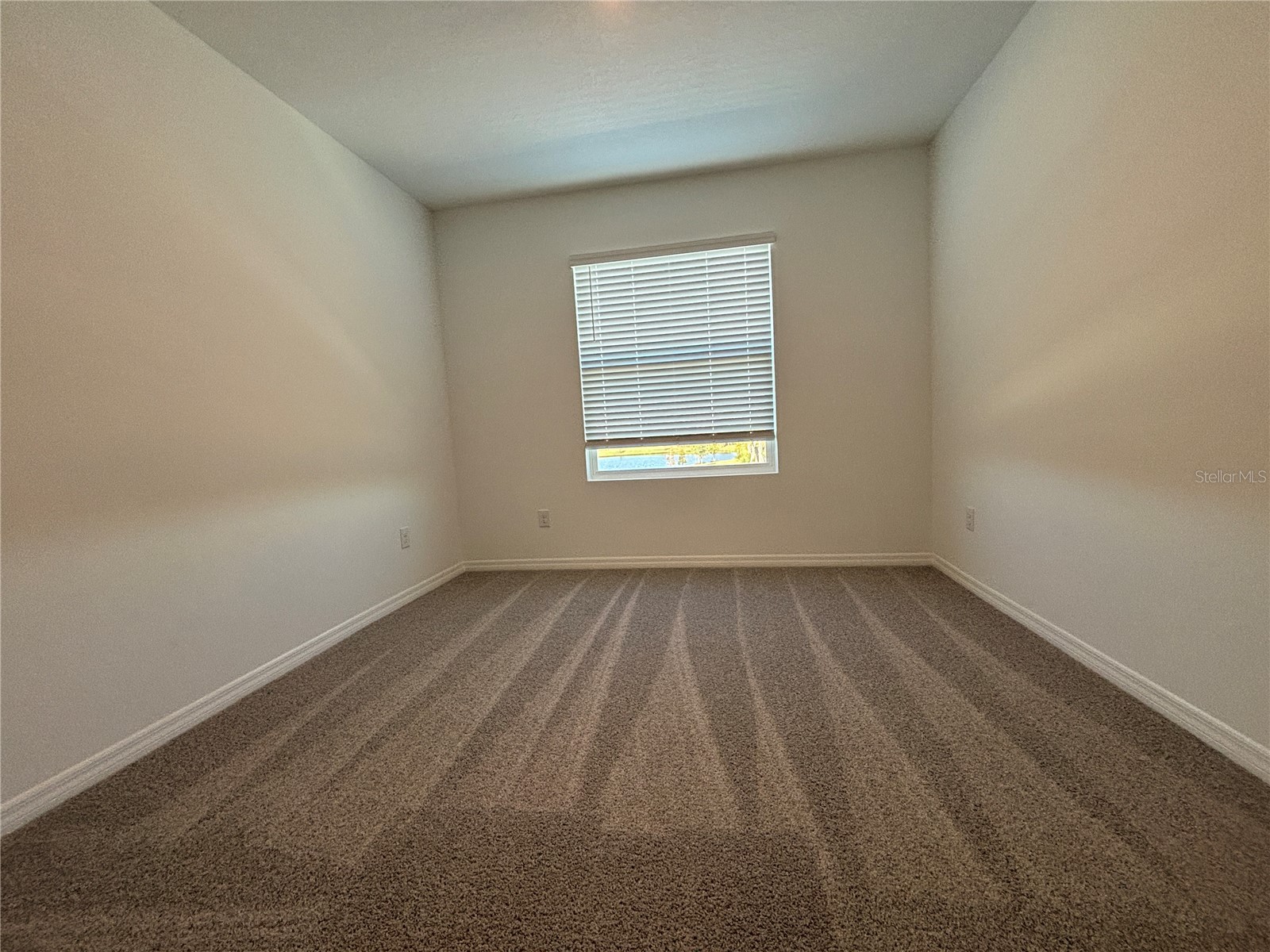 17254 Ashe Juniper Lane Land O Lakes FL 34638 TB8474237 image41