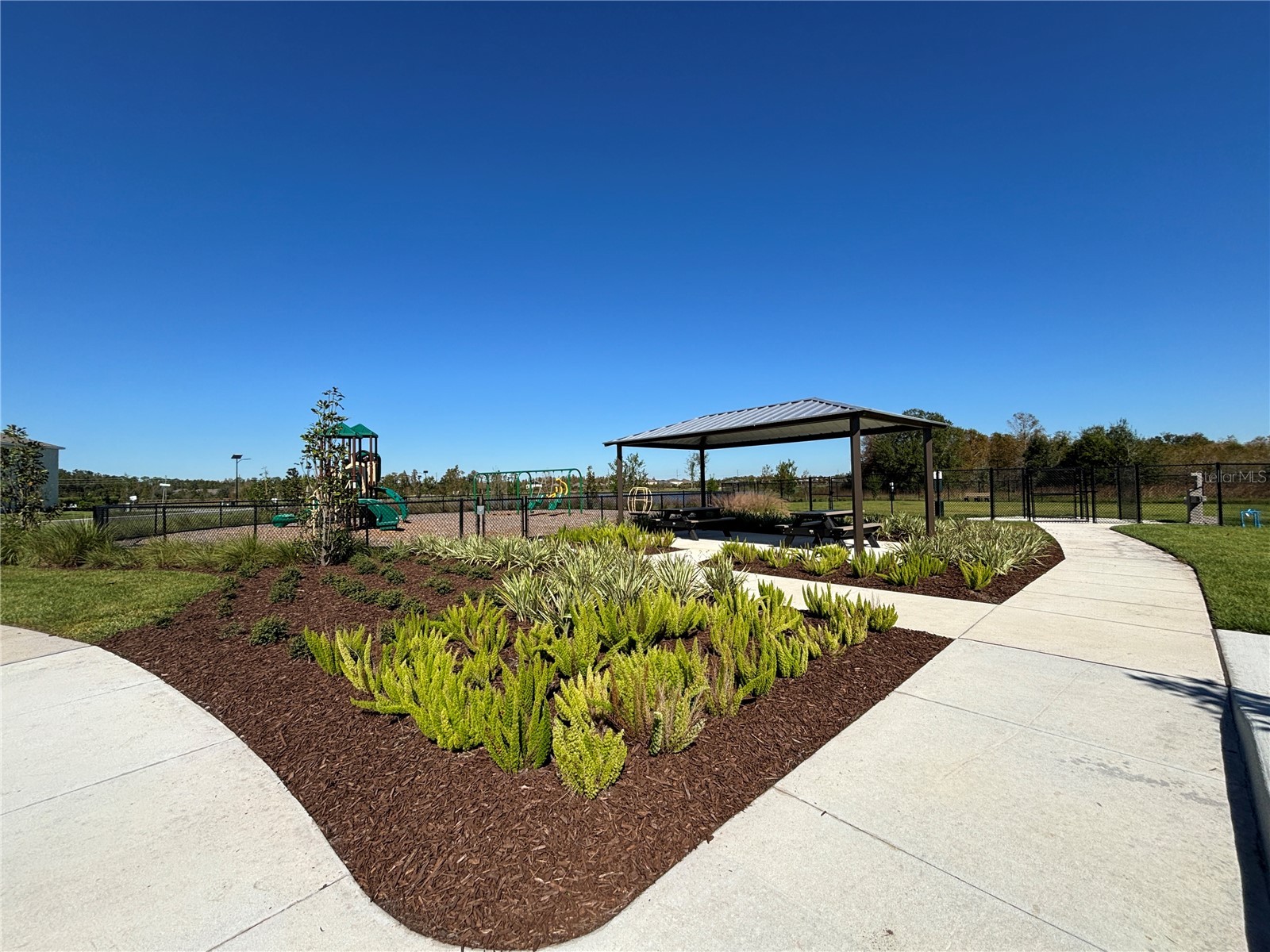 17254 Ashe Juniper Lane Land O Lakes FL 34638 TB8474237 image48