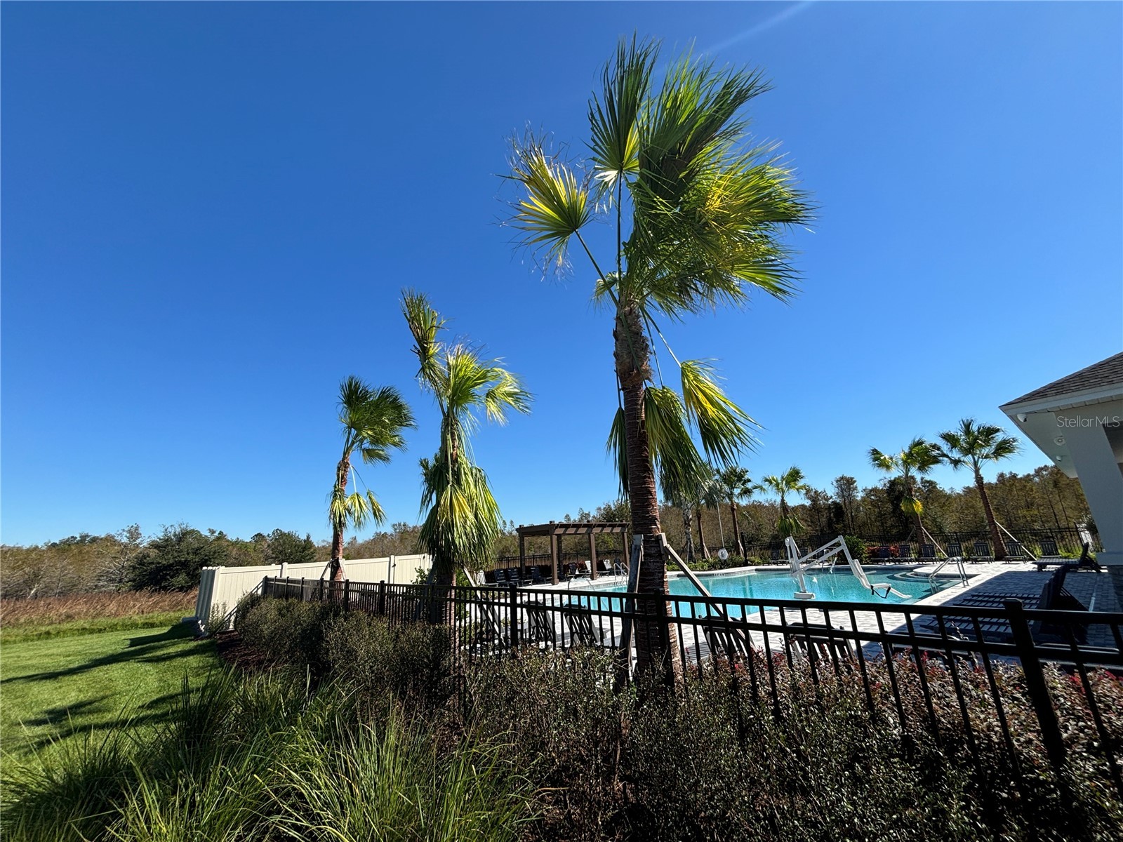 17254 Ashe Juniper Lane Land O Lakes FL 34638 TB8474237 image57