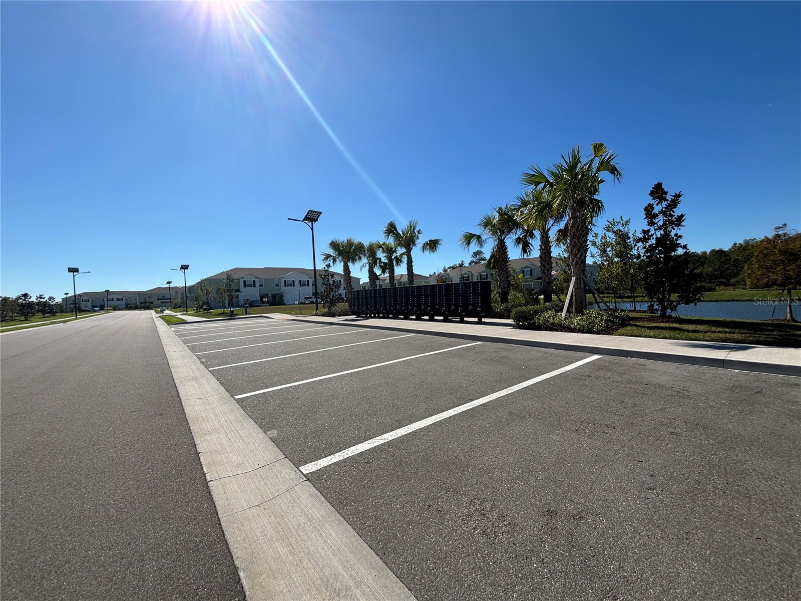 17254 Ashe Juniper Lane Land O Lakes FL 34638 TB8474237 image59