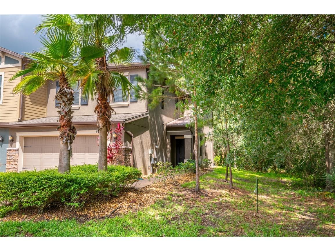 17259 Old Tobacco Road Lutz FL 33558 A4566261 image1