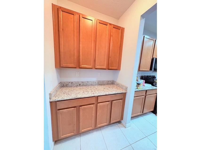 1726 Brassie Court Kissimmee FL 34746 O6398321 image13