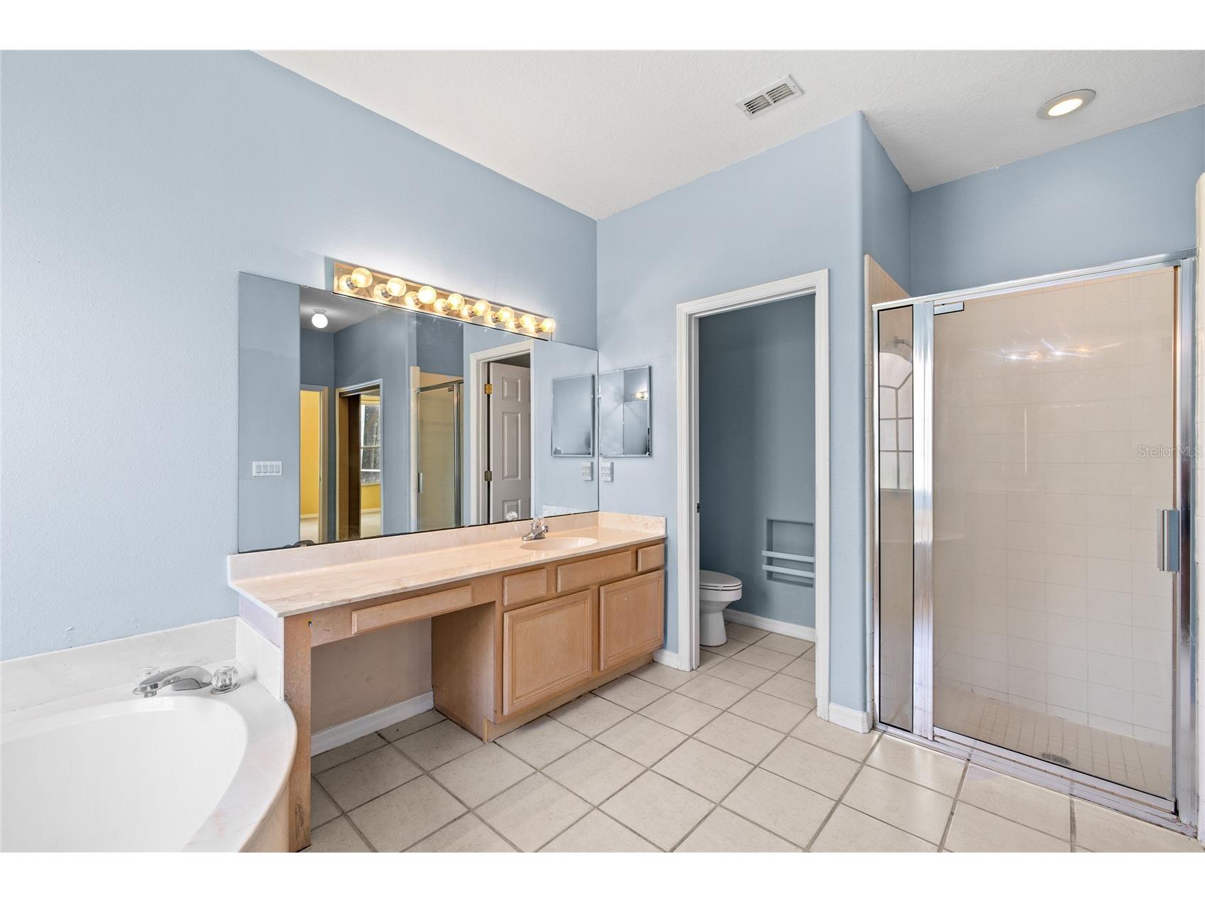 1726 Golfview Drive Kissimmee FL 34746 O6409602 image19