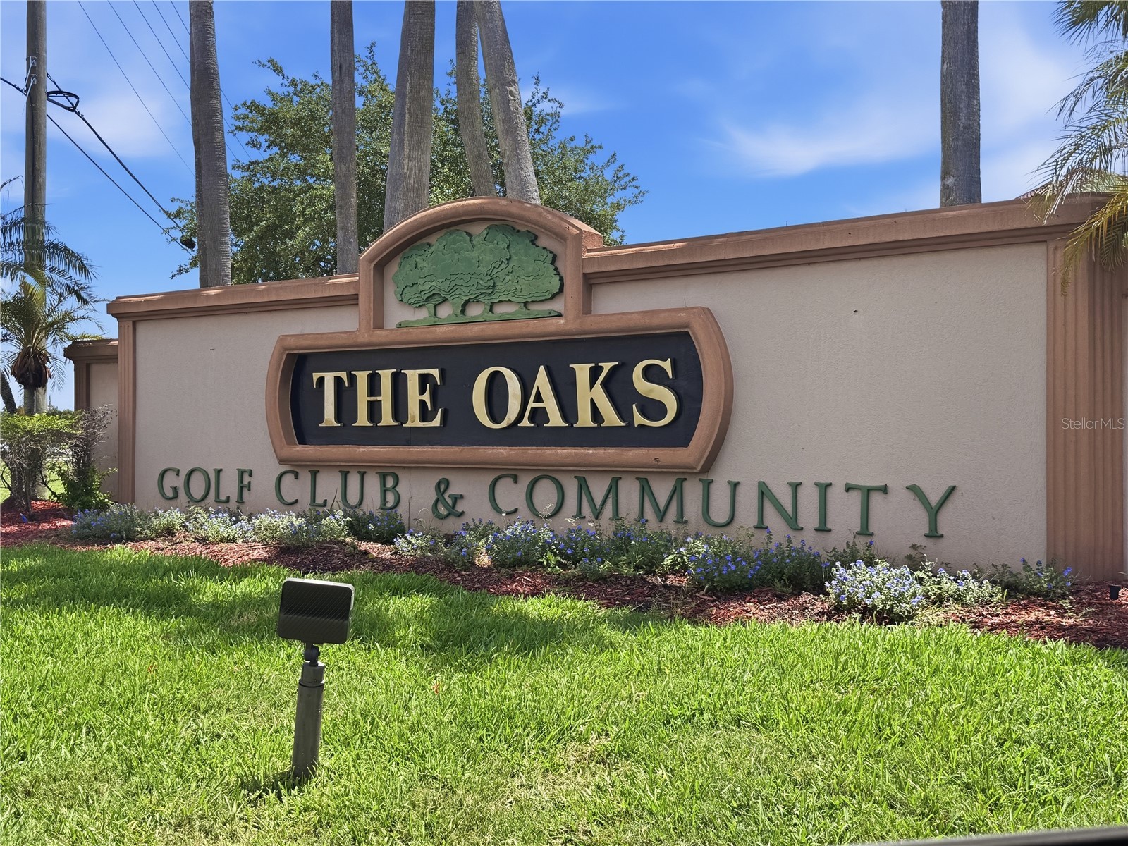 1726 Golfview Drive Kissimmee FL 34746 O6409602 image45