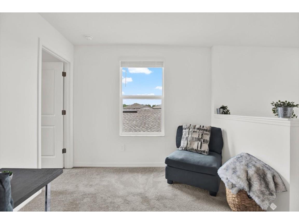 1726 Lanier Road Zephyrhills FL 33541 TB8427622 image27